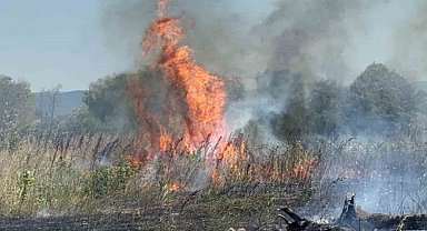 Beton mikserleri ve iş makineleri ile yangını söndürmek için seferber oldular