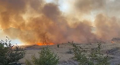 Beylikdüzü'nde otluk alanda yangın