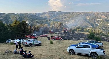 Beypazarı'nda 15 dönüm ekili alan yandı