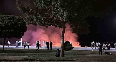 Beyşehir Gölü kenarında korkutan yangın