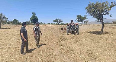 Beyşehir'de hibe destekli ekilen yem bitkilerinde hasat sürüyor