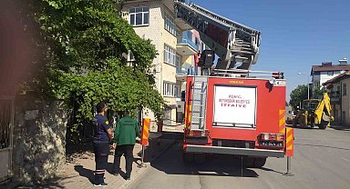 Beyşehir'de itfaiyenin kedi kurtarma seferberliği