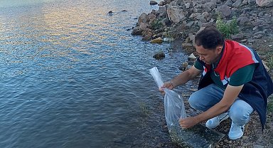 Beyşehir'in göletlerine yavru sazan takviyesi