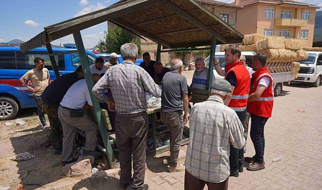 Bilecik Belediyesi çalışanları yangın bölgesindeki çalışmalarını sürdürüyor