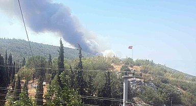 Bilecik'te alevler tavuk çiftliklerine dayandı