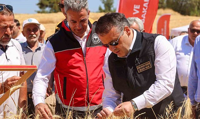 Bilecik'te bu yıl 75 bin 104 ton buğday hasadı yapılacak