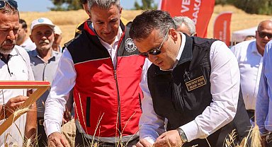 Bilecik'te bu yıl 75 bin 104 ton buğday hasadı yapılacak