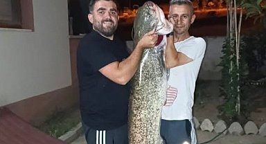Bilecik'te dev yayın balığını tutuldu