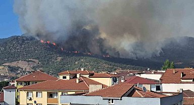 Bilecik'te kısmen kontrol altına alınan yangın yeniden alevlendi