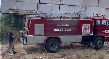 Bilecik'te otluk alanda başlayan yangın ormana sıçramadan söndürüldü