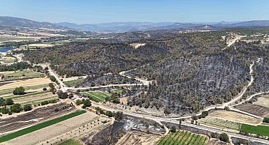 Bilecik'te yanan ormanlık ve kırsal alan havadan görüntülendi