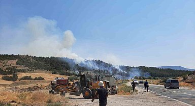 Bilecik'te yeni orman yangını