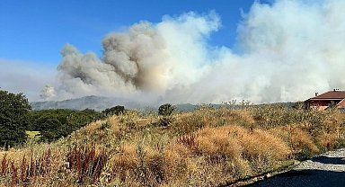 Bilecik'teki orman yangınına müdahale devam ediyor