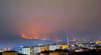 Bilecik'teki yangında alevler ilçe merkezine doğru ilerliyor