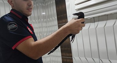 Binanın havalandırma boşluğunda mahsur kalan karga kurtarıldı