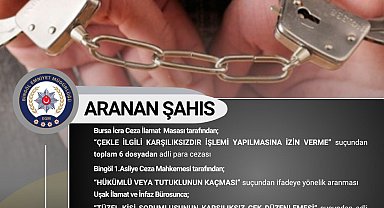 Bingöl'de 10 yıl kesinleşmiş hapis cezası bulunan şahıs yakalandı