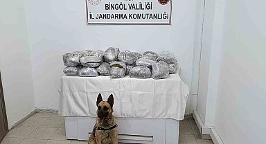 Bingöl'de 49 kilo esrar ele geçirildi
