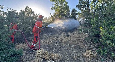 Bingöl'de orman yangını kontrol altına alındı