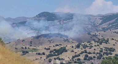 Bingöl'de orman yangını kontrol altına alındı