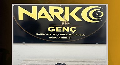 Bingöl'de ruhsatsız silah ele geçirildi