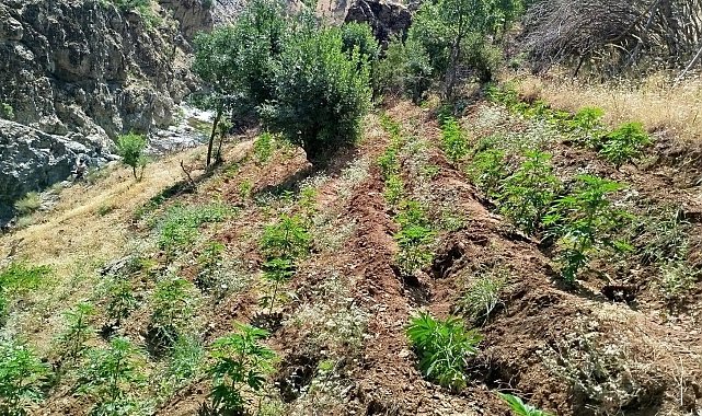 Bingöl'de uyuşturucu operasyonu