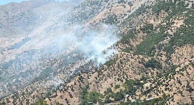 Bingöl'deki orman ve arazi yangınları söndürüldü