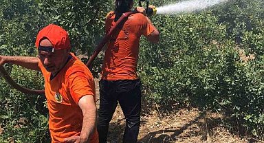 Bingöl'deki orman yangını kontrol altına alındı