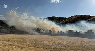 Bitlis'te buğday tarlasında çıkan yangın büyümeden söndürüldü