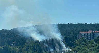 Bolu'da çıkan orman yangını büyümeden söndürüldü