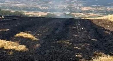 Bolu'da korkutan anız yangını, evlere sıçramadan söndürüldü