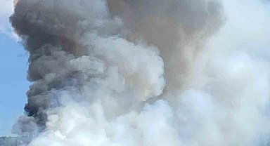 Bolu'da orman yangını