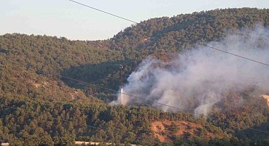 Bolu'daki orman yangınına havadan ve karadan müdahale sürüyor