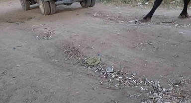 Böyle vicdansızlık görülmedi