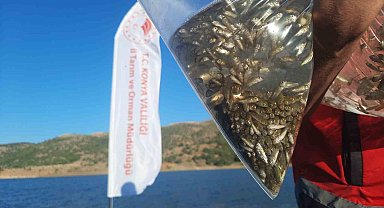 Bozkır'ın baraj ve göletleri yavru sazan balıkları ile buluştu