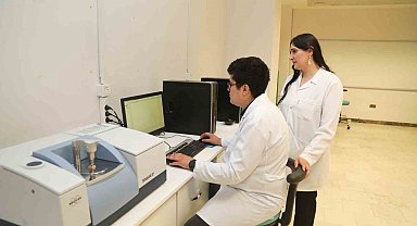 BTÜ'denyerli odun türlerini mobilya ve yapı sektörüne kazandıracak proje