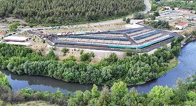 Bu tesiste 3 bin sahipsiz hayvanın barınma, tedavi ve rehabilitasyonu sağlanacak