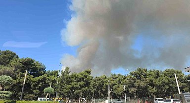 Buca'da orman yangını