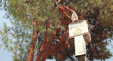 Buharkent Belediyesi'nden anında müdahale