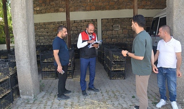 Bulanık'ta "Kaz Yetiştiriciliği" projesi kapsamında kaz palazı dağıtıldı