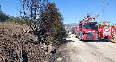 Burdur'da ceviz bahçesi ve 5 dönüm tarım arazisi yandı