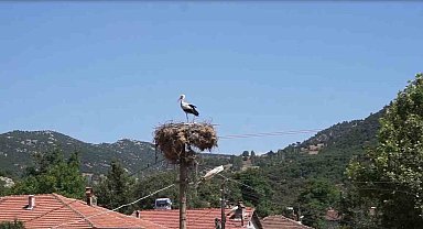 Burdur'da Hisarardı köyünün yüz yıllık misafirleri leylekler, bu yıl da yuvalarına döndü