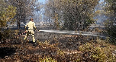 Burhaniye'de orman yangınına havadan ve karadan müdahale ediliyor