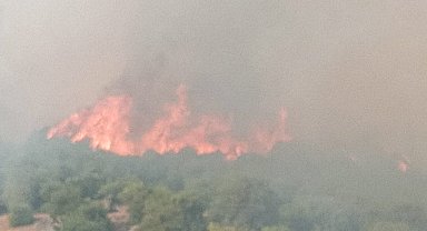 Bursa-Balıkesir sınırında orman yangını: Köy tahliye edildi, ekipler seferber oldu