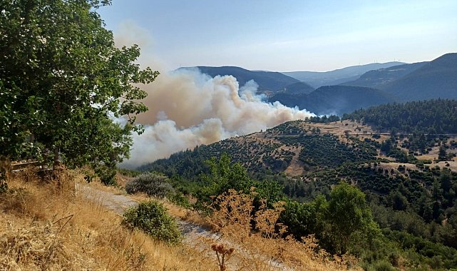 Bursa-Balıkesir sınırında orman yangını