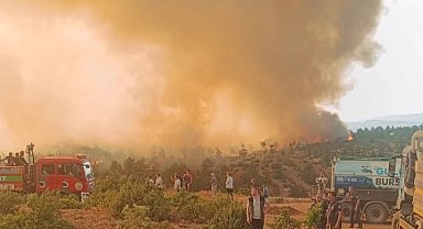 Bursa Harmancık'taki Çakmak köyü korundu!