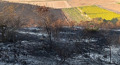 Bursa Karacabey'de orman yangını: 500 dönüm zarar gördü