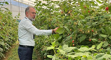 Bursa Kestel ve Gürsu'dan Sırbistan'a tarım çıkarması