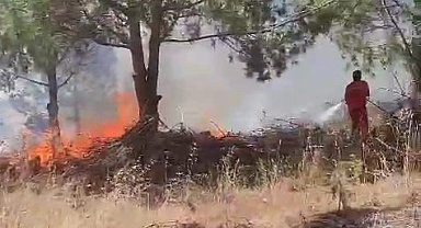Bursa'da ağaçlık alanda çıkan yangına müdahale ediliyor