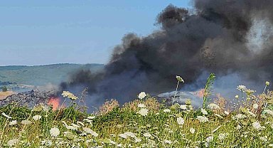 Bursa'da çiftlikte çıkan yangın 3 yere sıçradı