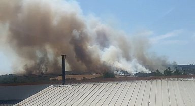 Bursa'da orman yangını